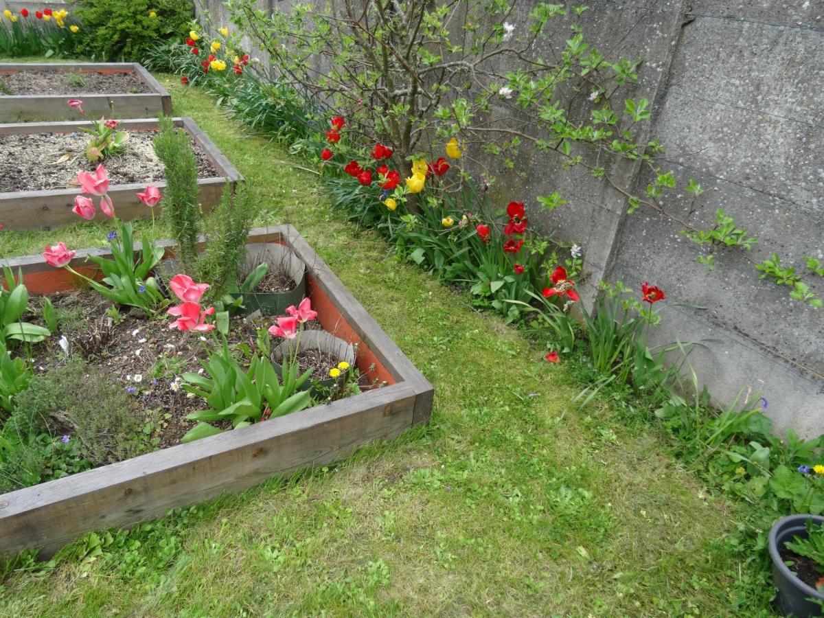 Maison D'Hotes Les Roses Tremieres Saclay Bagian luar foto